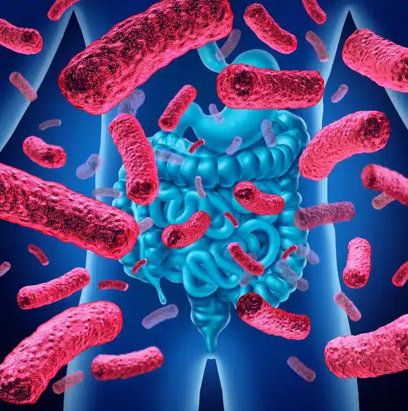 El microbioma: una historia que comienza antes de nacer